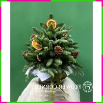 Giáng Sinh Thông Tươi Nobilis Hòa SJ9513GTM4