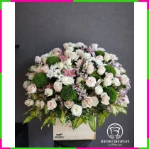Thành Công Hoa Lễ T4JW2TCRWV