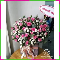 Lãng Hoa Nguyệt Bạch Tiên Nữ FG3ETQHMUX