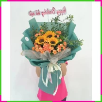 Hân Lạc Dương Chướng AQB71AJFP