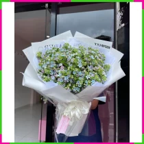 Đại Dương Ngọc Bích CJBOWA7Q66