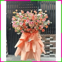 Khải Nguyên Phúc Hoa Trường Thanh Chi Nhất Khải 4GQGL3P9M