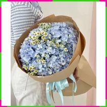 Thanh Tú Cẩm Mộng DD3A6U3IOL