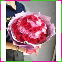 Hồng Cẩm Tuyệt Mỹ WN3W1LAQJE