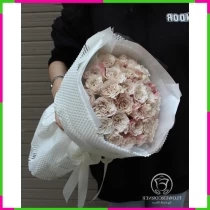 Kim Cương Tây Phương Hồng Ngoại BRZL2F0VXD