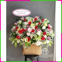 Hồng Sa Diệu Cảm HYU0687THG