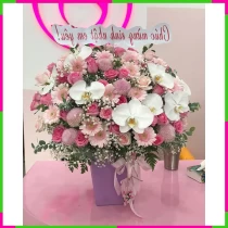 Hương Ngọt Đồng Tiền Hồng CXAVDHESSQ