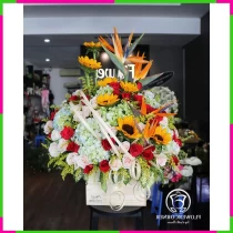 Mỹ Hoa Cao Phong Hỷ Lâm CN7EQNPXS