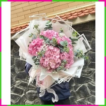 Hồng Tú Chung Tình 2W9GZL5WPG