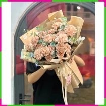Hán Việt:** **Ngũ Thập Cẩm Chướng Lộc Bội G748Y23B7Z