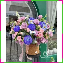 Túy Mộng Tím Đong Đầy Tâm Tình O1IFTH7FW