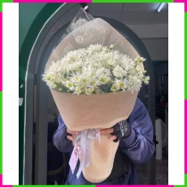 Xuân Họa Mi Đồng Nội Tình Thương 92ZCJSXXDW