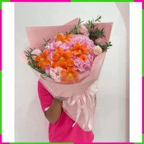 Mộng Cảnh Hồng Lam** 6FSA7PWP7