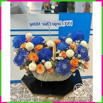Thanh Xuân Mộng Ảnh 9RZHPCZ7K