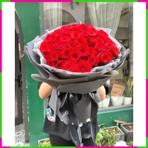 Vũ Hội Hồng Pháp Kiêu Sa 292EH1VAKE