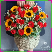 Hướng Hồng Nhật Sinh Năng Lượng Vui Tươi 7WOP5EENH