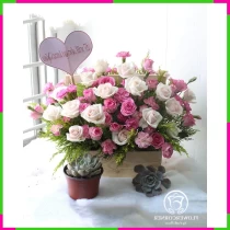 Phúc Lộc Hân Hoa Lẫng UGCWR5RSYY