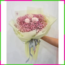 Hồng Nhuệ Phấn Tiên VM54OXL2GR