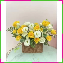 Hán Việt:** **Kim Bạch Hỷ Lộc Xuân Duyên** (20-30 ký tự) 33W7SX5MRC