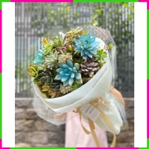 Vĩnh Hằng Nhất Niệm Y55M1XL27