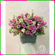 Tím Mộng Hương Ngàn TL325ID0I