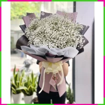 Bạch Tuyết Mộng Hồng 80088ZCUHD