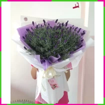 Thanh Uyển Tử Y Lan I7TTJYIB