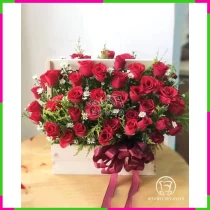 Hồng Quyền Lẫm Liệt Lãng SFX9GNG1H7