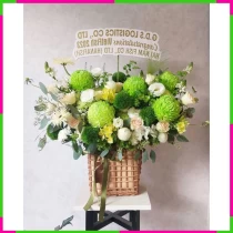 Thanh Mộng Huyền Ảnh WOMAJQ7ZKV