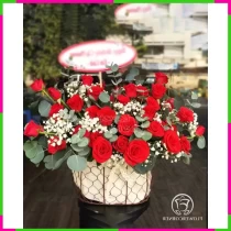 Hồng Bạch Hỷ Lạc FYVGT18L0D