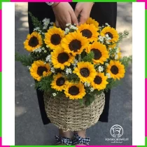Hạnh Dương Cát Tường SSKI7YHCO