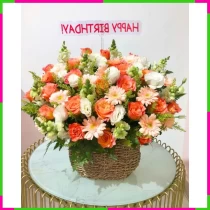 Xuân Viên Hỷ Lạc M7G1LD7TNV