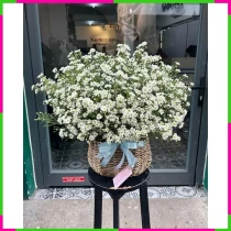 Bạch Thạch Thảo Tình Ân MZDW8CPKNW