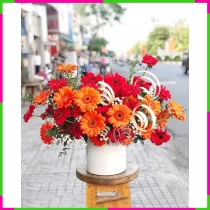 Rực Rỡ Sắc Hương Đồng Tiền Thắm Sắc 3JYMUN9SLW