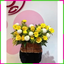 Nguyệt Quang Hoàng Hoa Lệ CSZ87ZFFW5