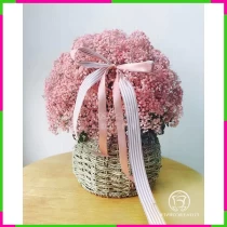 Hồng Nguyệt Tiểu My XWYD5QMJCH