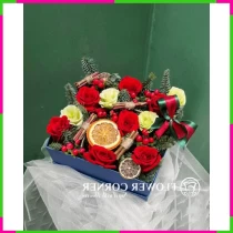 Hồng Tùng Giáng Sinh K6E33UZ2XW
