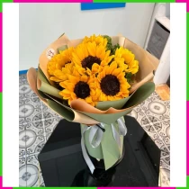 Hướng Dương Hi Vọng Ấm Áp B090GNJV64