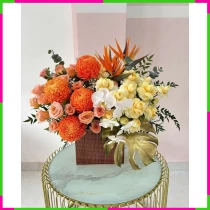 Hương Hoàng Dạ Nguyệt AEPXLUAIB2
