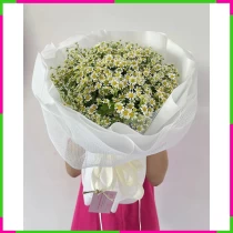 Thanh Tâm Cúc Nguyệt Y3NMWBPXAC