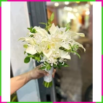 Bạch Nguyệt Lộng Lẫy** N9ZV3S03AH