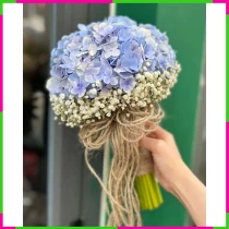 Cẩm Tú Dương Quyền Trắng Thảo Tình 1N8WAYDZ9P