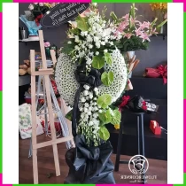 Thanh Hải Vô Ưu Kệ O75UWFK6T