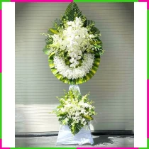 Kỷ Niệm Bạch Lan Tâm RMM5LD7ZLS