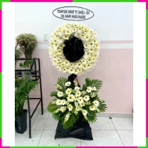 Trắng Vĩnh Biệt Tâm Cảm Kết Hòa WAKEH2NDX