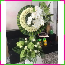 Vĩnh Cửu Hoa Nhân Sinh Hồi Tưởng 76TIHZPKTE