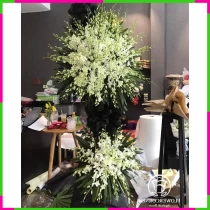 Tiễn Biệt Trường Miên Vô Tận Thương YWFM711TM5