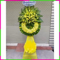 Vĩnh Biệt Hoàng Kim Tâm F50AHUPHD1