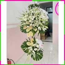 Bạch Liên Uyển Kính H5F3RHB5E3