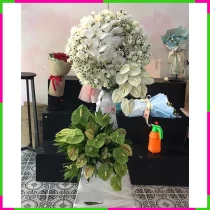 Vĩnh Biệt Hương Nguyệt T1NEYBN1M6